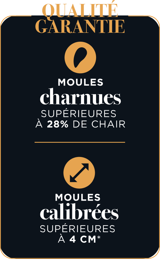 Qualité garantie : Moules charnues supérieures à 18% de chair, & calibrées supérieures à 4 cm